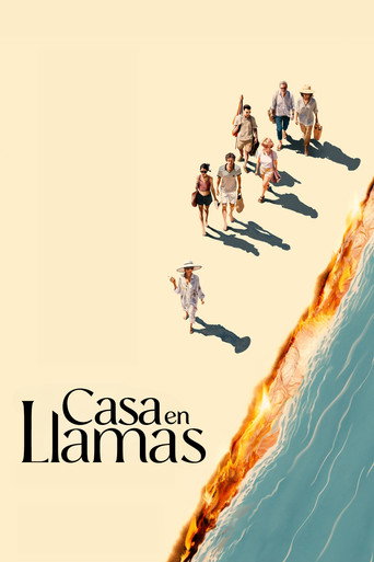 Cartel de Casa en flames