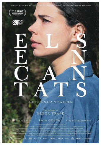 Cartel de Els encantats