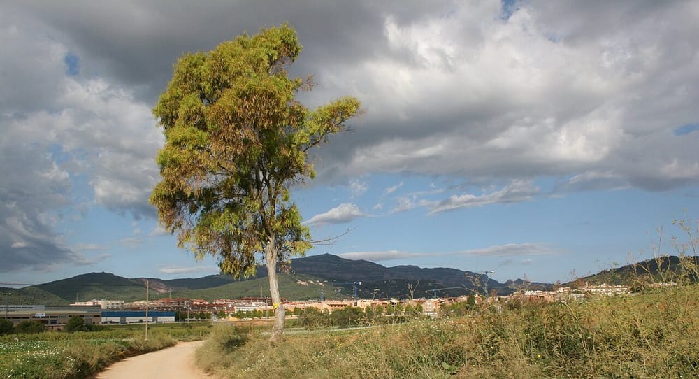 Castellar del Vallès, Barcelona