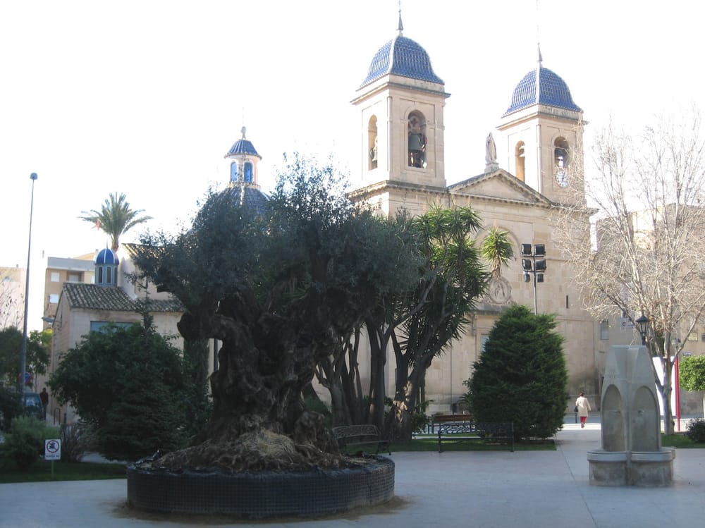 Sant Joan d'Alacant, Alicante