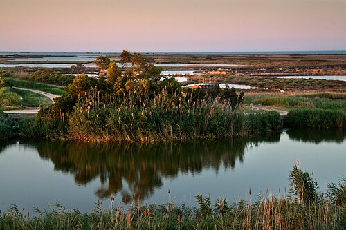 Parque natural del Delta del Ebro, Montsià