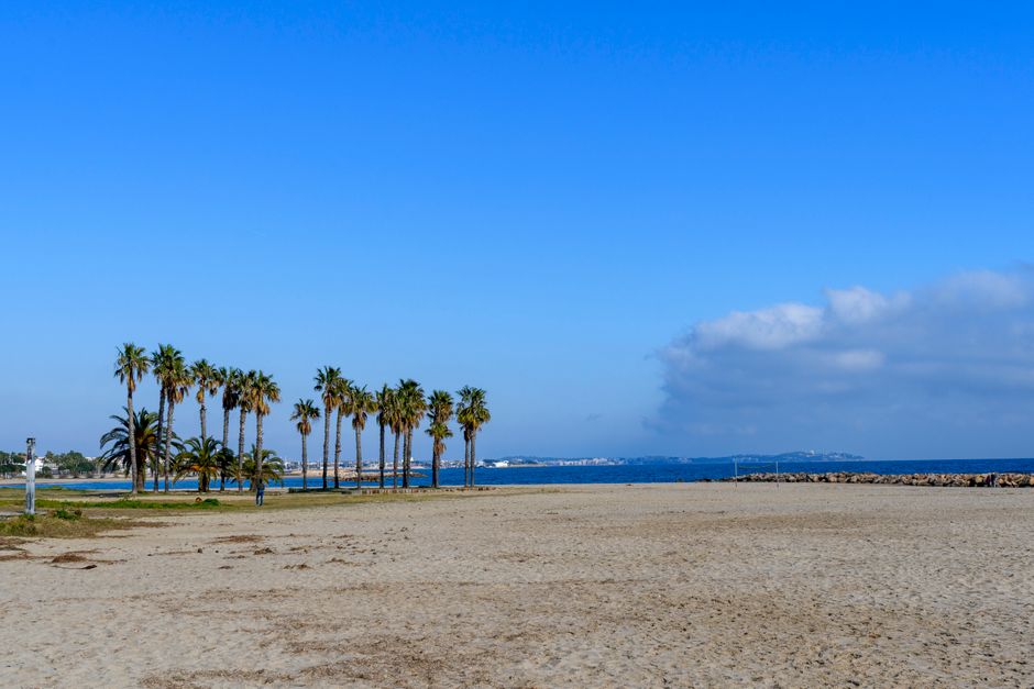 Vista escénica de palmeras y playa de arena en Cambrils, España, con un cielo azul claro.