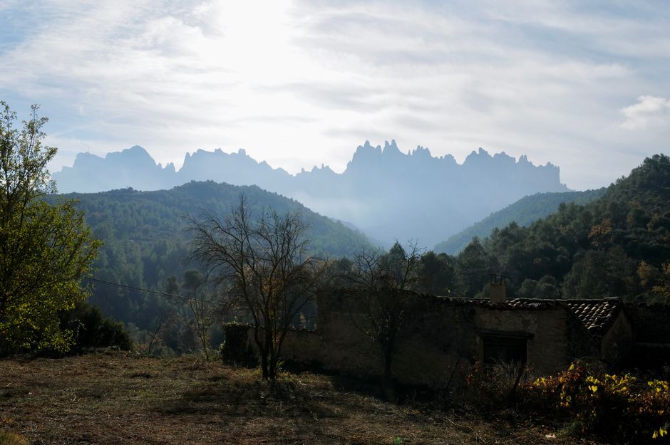 Una vista escénica de colinas y árboles con un cobertizo rústico y un fondo montañoso.