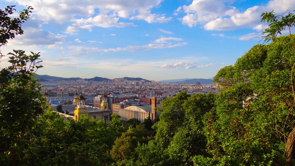 Una vista vibrante de Barcelona desde una colina, con exuberante vegetación enmarcando el horizonte y la arquitectura.
