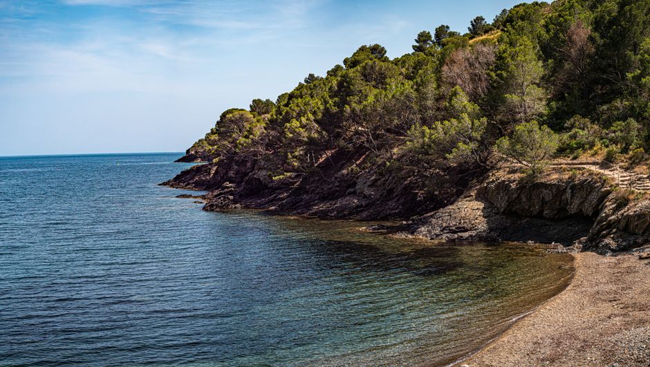 Impresionante vista costera en Roses, Cataluña, con exuberante vegetación y costa rocosa.