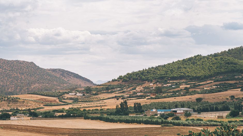 Vista idílica de las colinas ondulantes y tierras de cultivo de Jendouba bajo un cielo nublado.