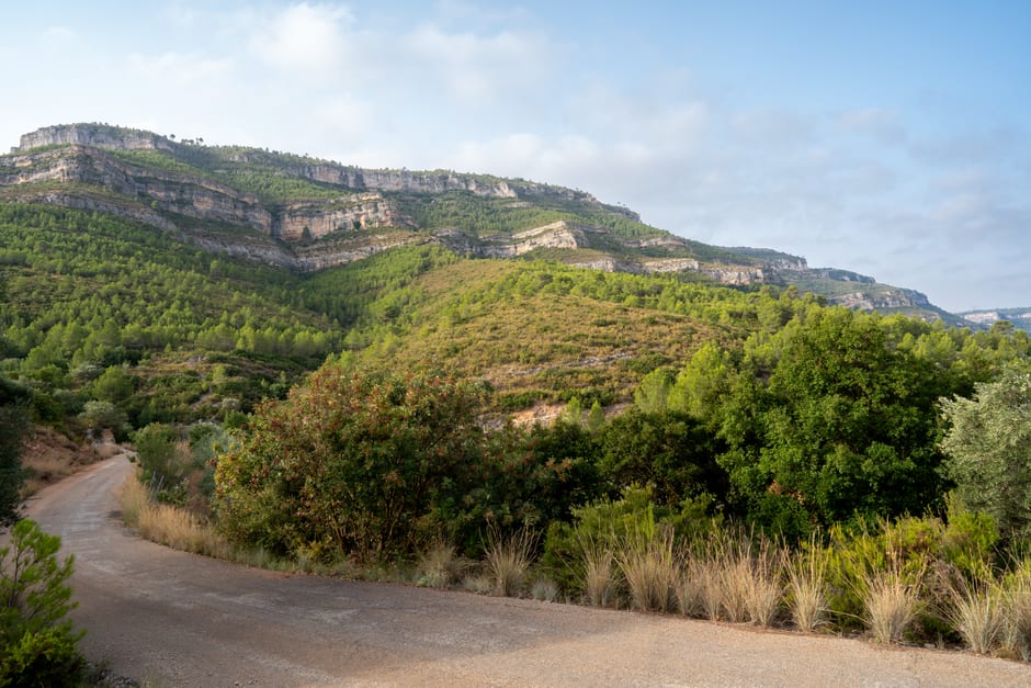 Explora las exuberantes y onduladas colinas de Cortes de Pallás, España, en este sereno paisaje montañoso.